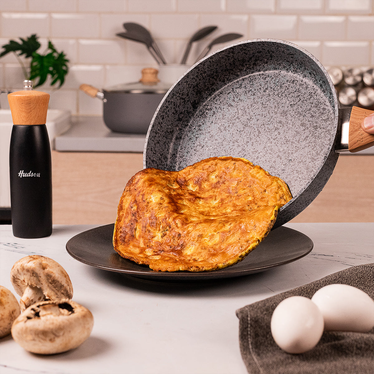 HUDSON  Forged Aluminum Frypan with Nonstick, 7.9-inch Induction ready